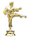 Figura para Trofeo de Karate sin base