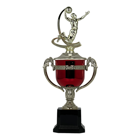 Trofeo de Copa con Figura Serie PC