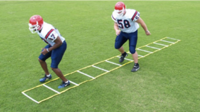 Professional Single Step Ladder (24" Wide x 20' Long)