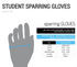 Student Sparring Gloves