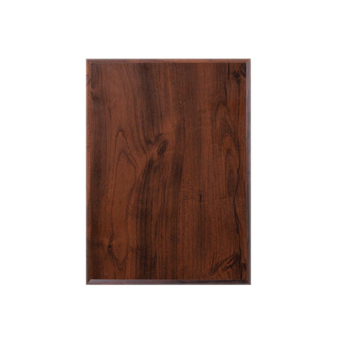 Placa de Reconocimiento